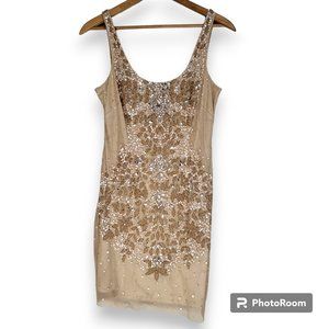 Adrianna Papell Beaded Slip Dress Size 12